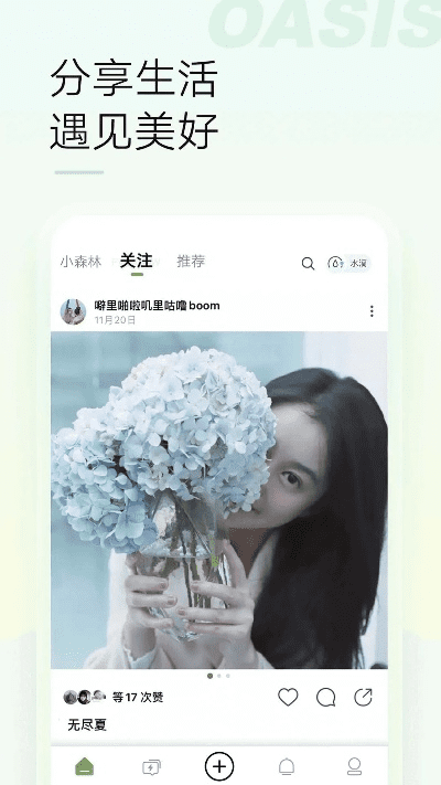 绿洲下载官方app,全面设计实施策略-苹果_v7.289