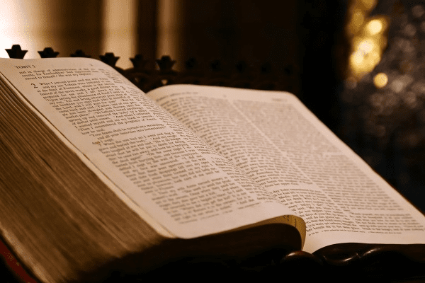 官方下载圣经阅读,前沿研究解释定义_Windows1_v7.641