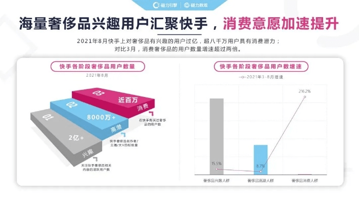 快手4.05版本同芙蓉兴盛官方下载，行业标杆产品的卓越表现